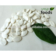 New Crop Dry Edible Snow White Pumpkin Seeds In Shell